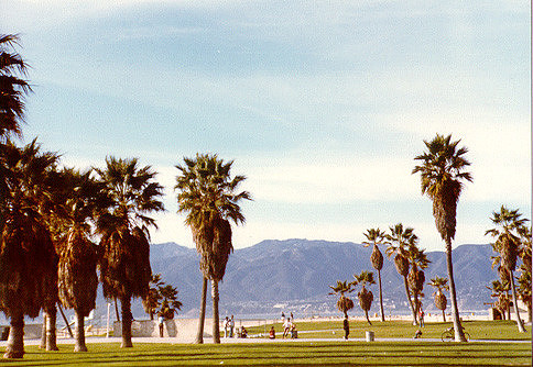 Venice Beach