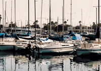 Marina Del Rey 3