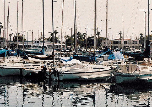 Marina Del Rey 3
