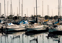 Marina Del Rey 4
