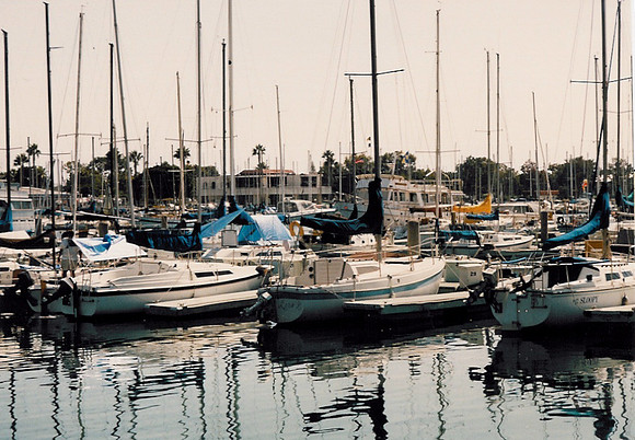 Marina Del Rey 4