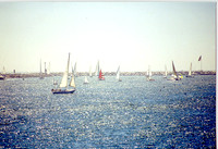 Marina Del Rey 6