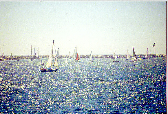 Marina Del Rey 6