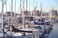 Marina Del Rey 11