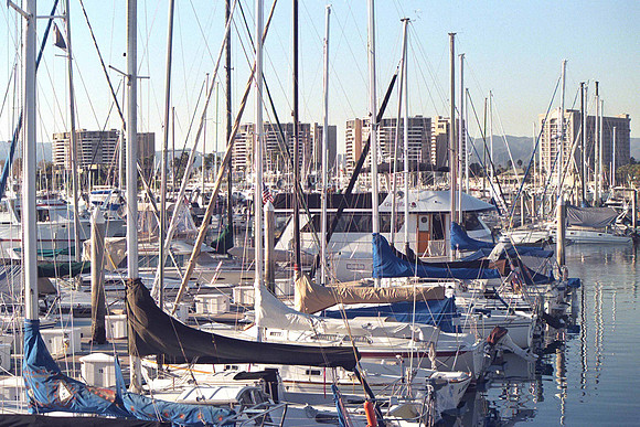 Marina Del Rey 11