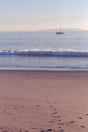 Marina Del Rey 23