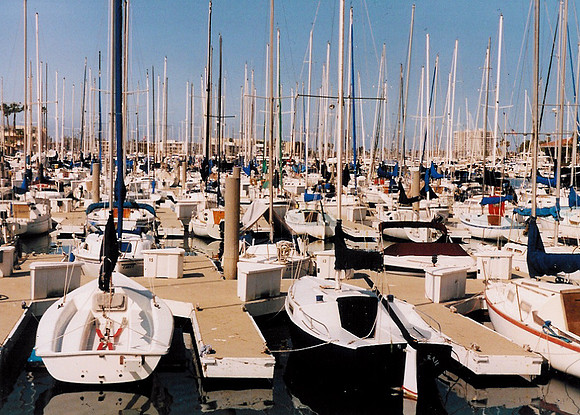 Marina Del Rey 29