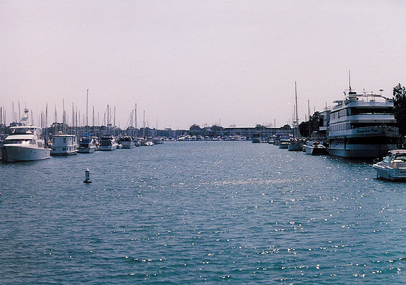 Marina Del Rey 37