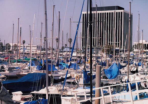 Marina Del Rey 39