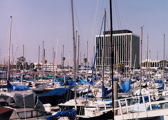 Marina Del Rey 41