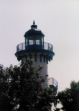 Marina Del Rey 43