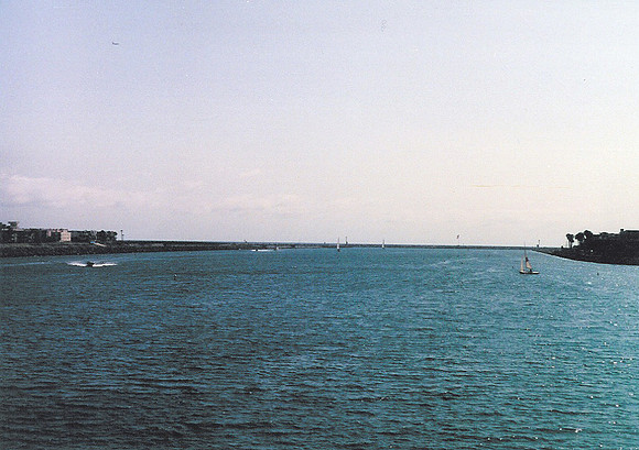Marina Del Rey 46