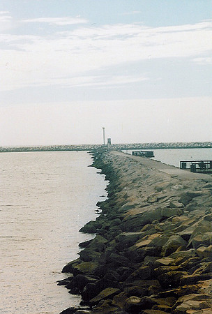Marina Del Rey 50