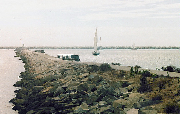 Marina Del Rey 51