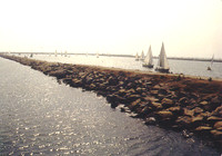 Marina Del Rey 1