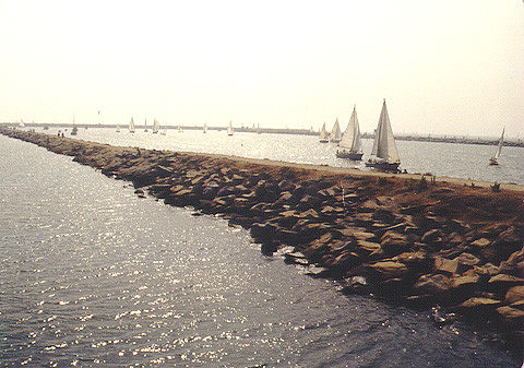 Marina Del Rey 1