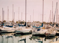 Marina Del Rey 2