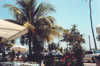 Miami 6
