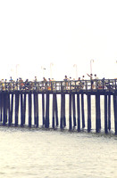Hampton 9