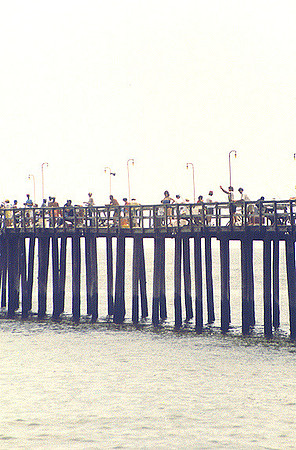 Hampton 9