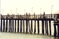 Hampton 10