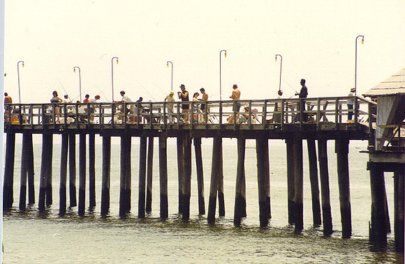 Hampton 10