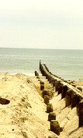 Hampton 11