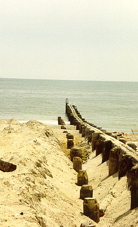 Hampton 11