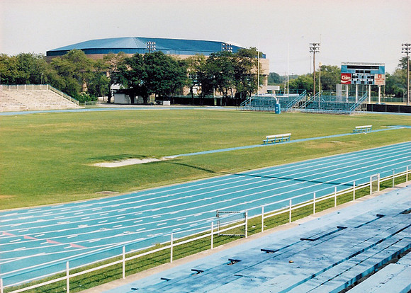 Hampton 8