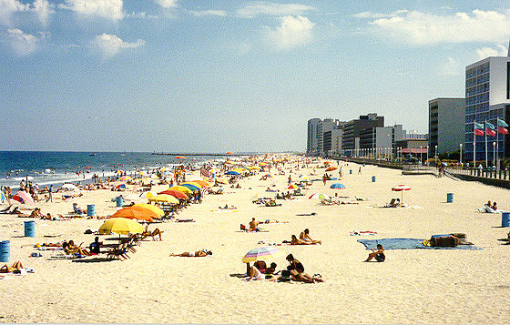 Virginia Beach 6