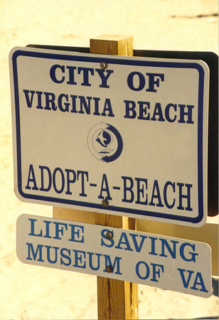Virginia Beach 8