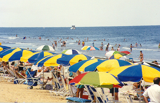 Virginia Beach 1