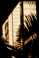 Shadows