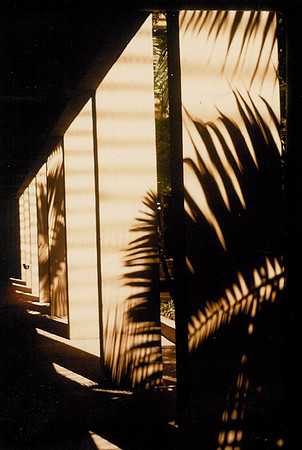 Shadows