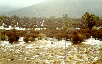 Day Scenes 7