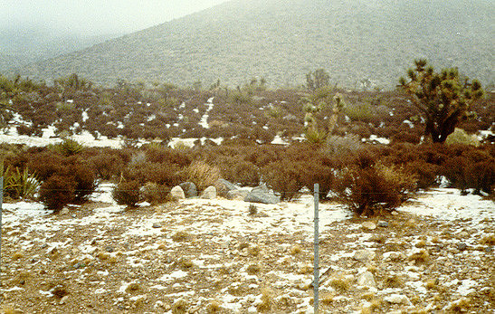 Day Scenes 7