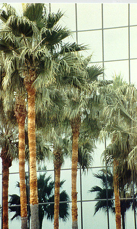 Day Scenes 5