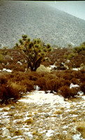Day Scenes 6