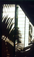 Day Scenes 3