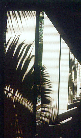 Day Scenes 3