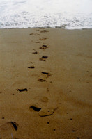 Day Scenes 4
