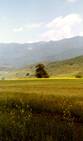 Day Scenes 10