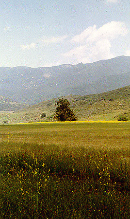 Day Scenes 10