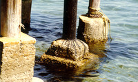 Day Scenes 9