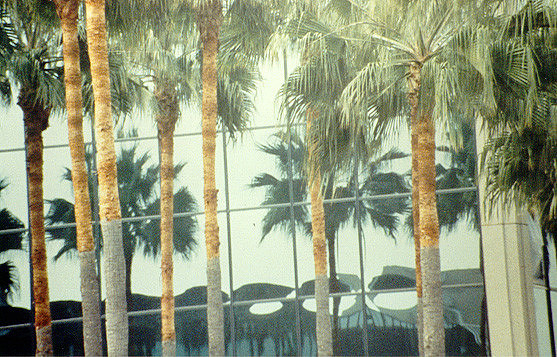 Day Scenes 15