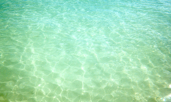 Caribbean Sea 19