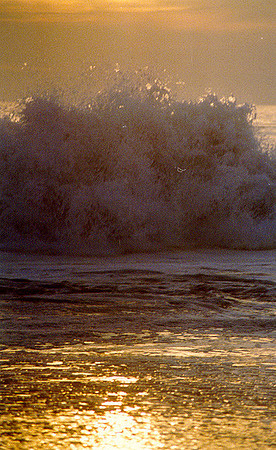 Pacific Ocean - Los Angeles 20