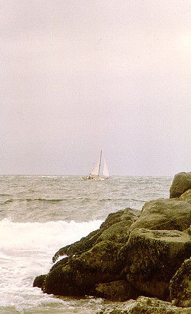 California Coastline - Pacific Ocean 21