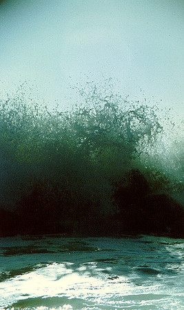 Pacific Ocean - Los Angeles 26