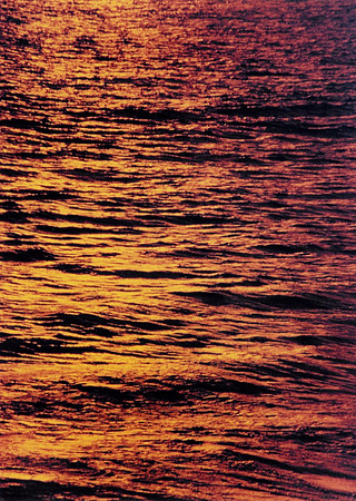 Pacific Ocean 31